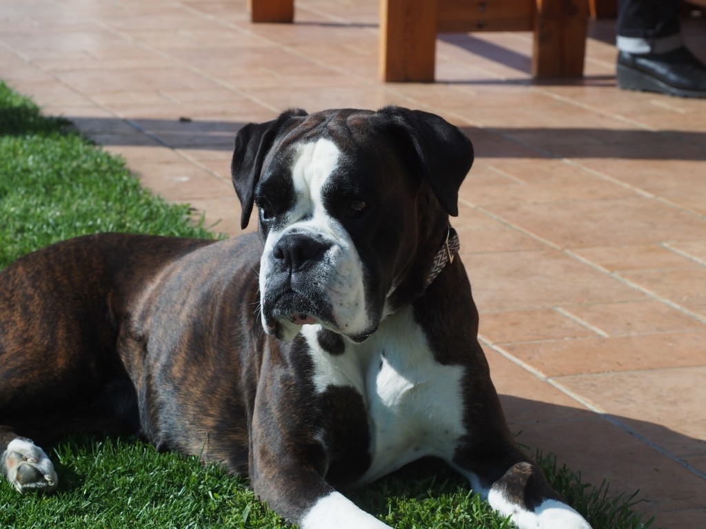 Gina des gorges d héric