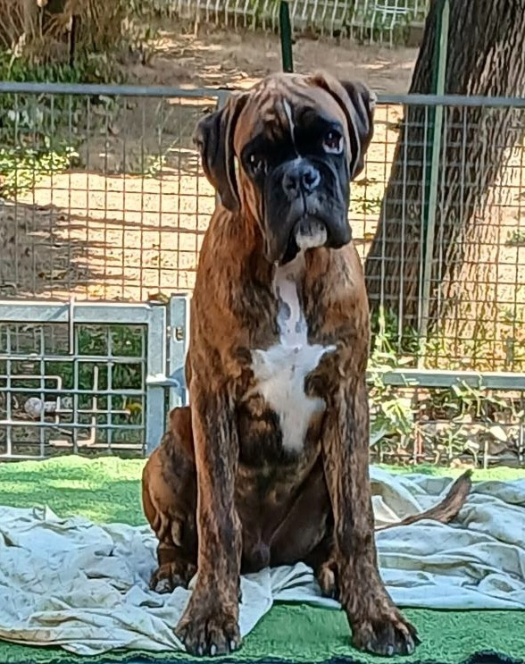 AX Des gorges d'heric