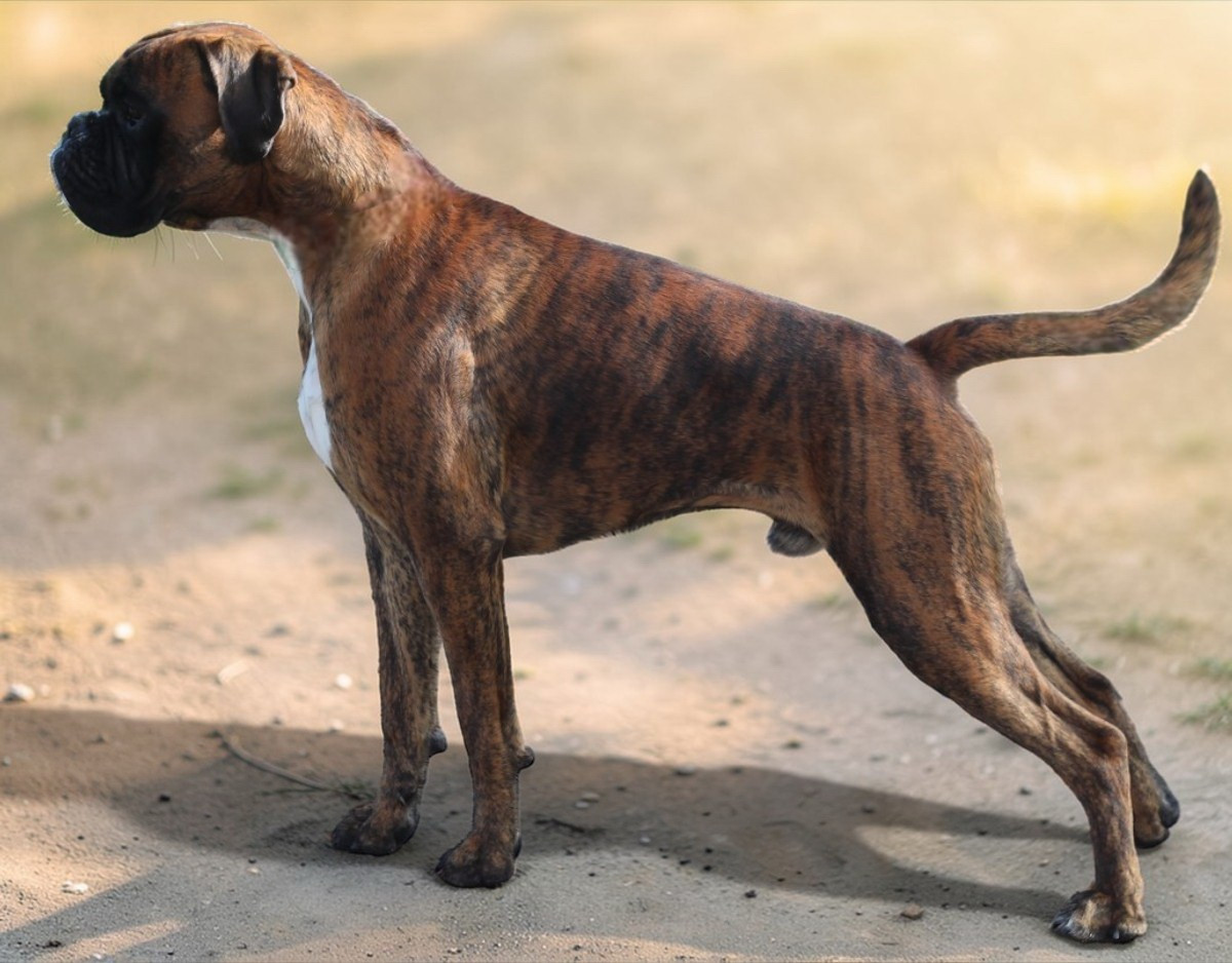 AX Des gorges d'heric